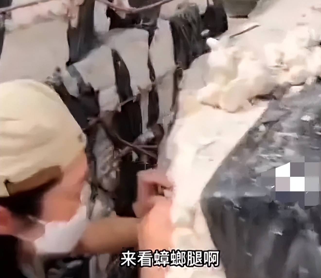 创始人道歉网友爆料背后真相怪不得会很痒EVO视讯真人卫生巾塌房后续：ABC(图24)
