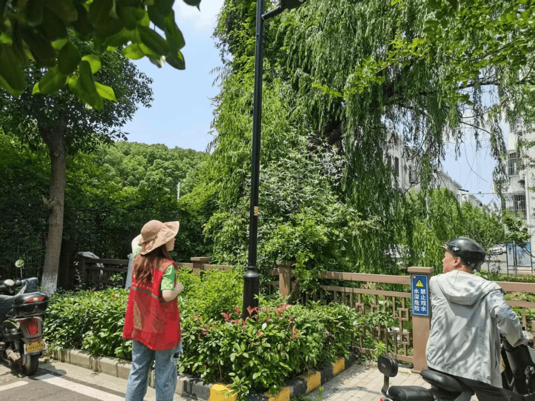 迎端午净美沧浪在行动！EVO视讯平台粽香飘逸(图12)