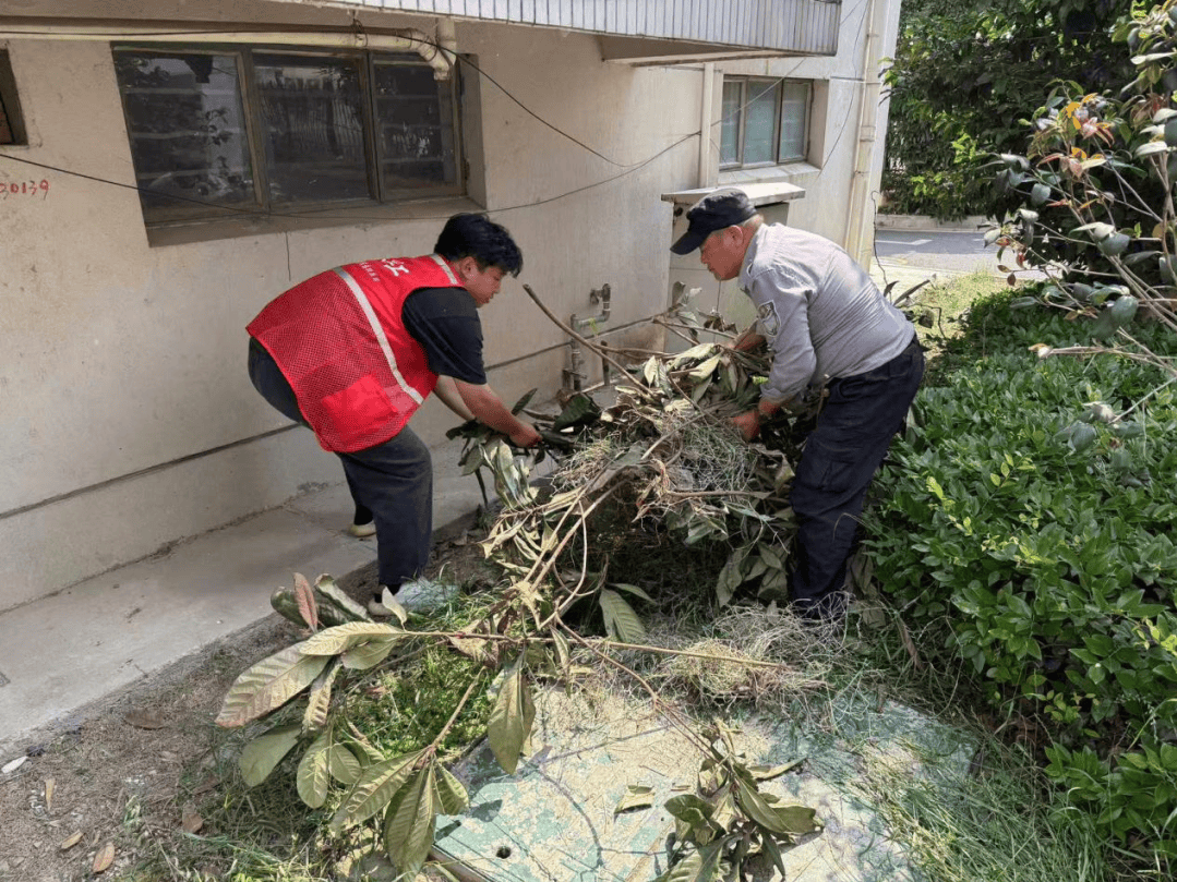 迎端午净美沧浪在行动！EVO视讯平台粽香飘逸(图3)