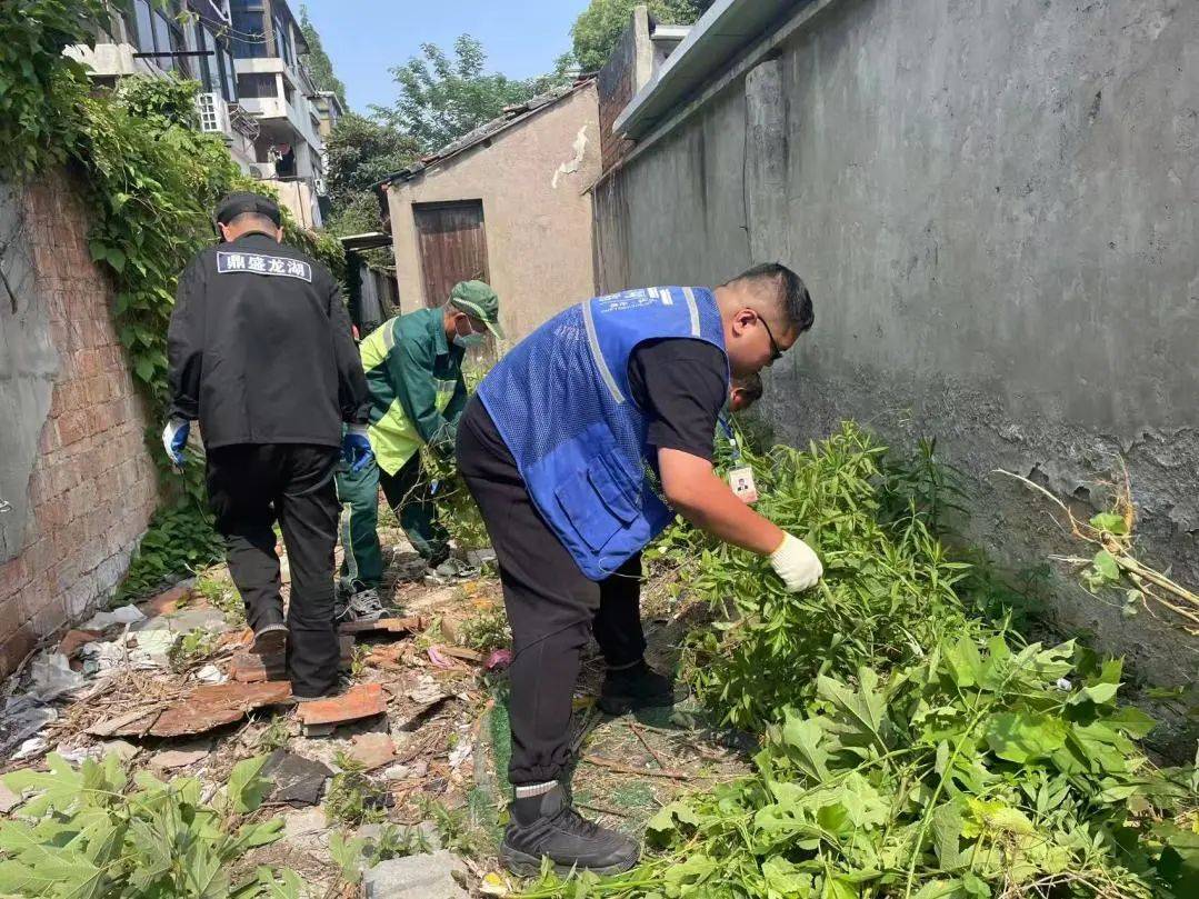 迎端午净美沧浪在行动！EVO视讯平台粽香飘逸(图6)