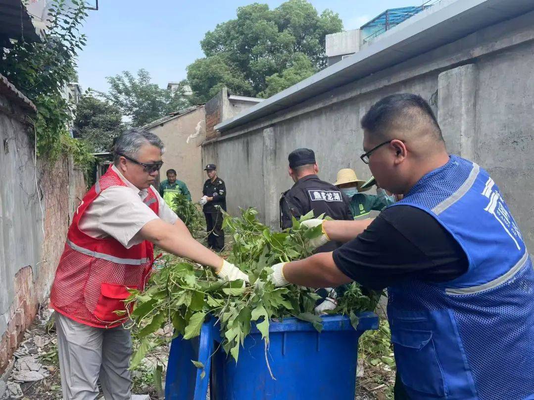 迎端午净美沧浪在行动！EVO视讯平台粽香飘逸(图7)