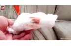 经期安全 沦为概率游戏EVO视讯年度31